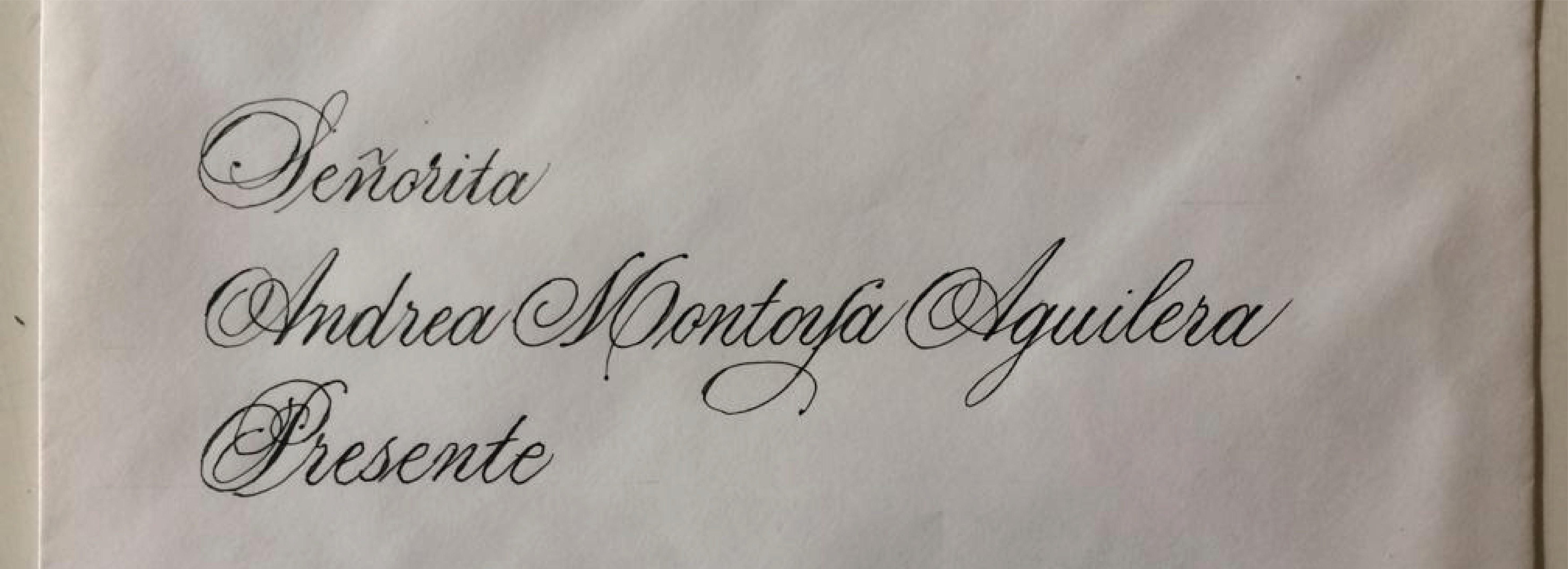 servicio de caligrafi╠üa